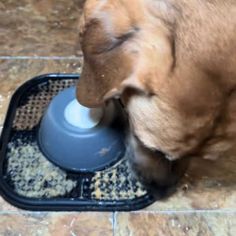 Getrivo™ Slow Feeder Enrichment Bowl
